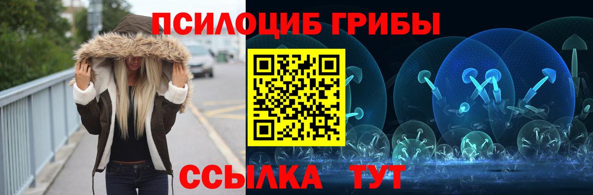 Серпухов  Псилоцибиновые грибы Cubensis  Вход с VPN 