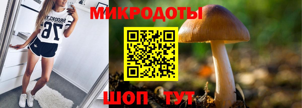 Псилоцибиновые грибы Cubensis Серпухов